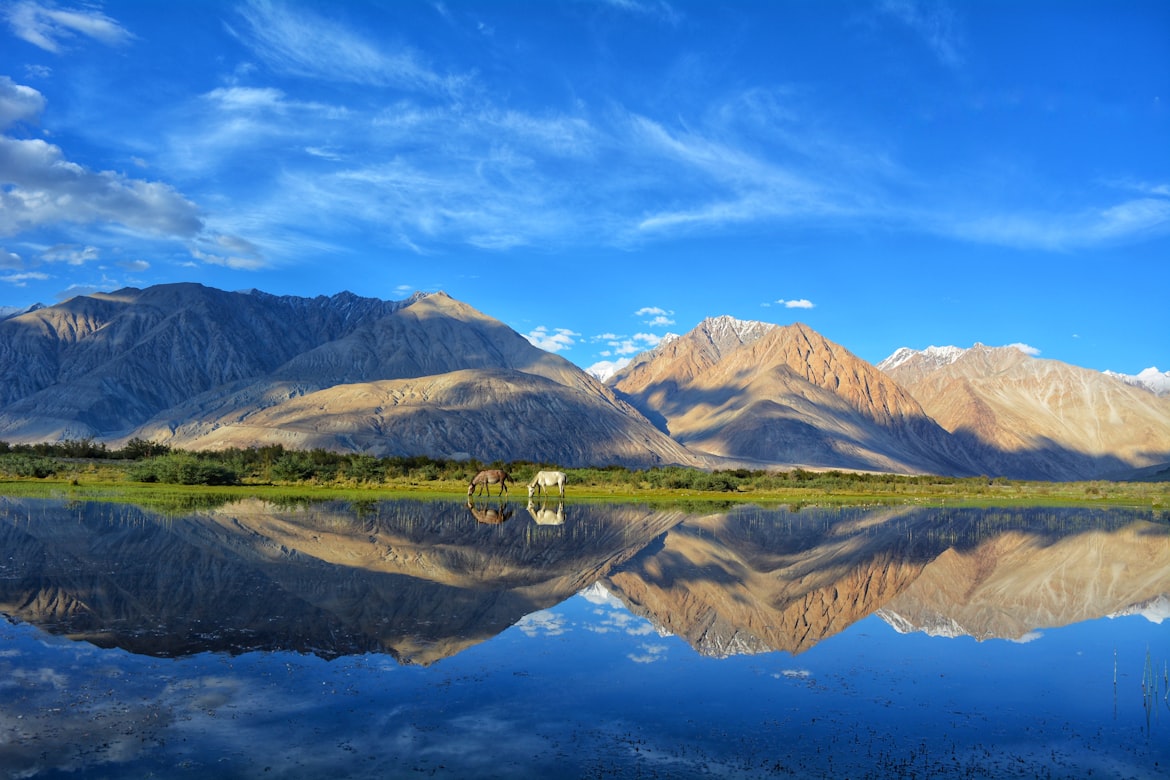 Leh - Ladakh Dash